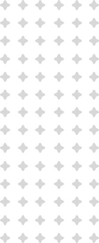 BLACKBIRD INSTITTUTE Pattern Pic