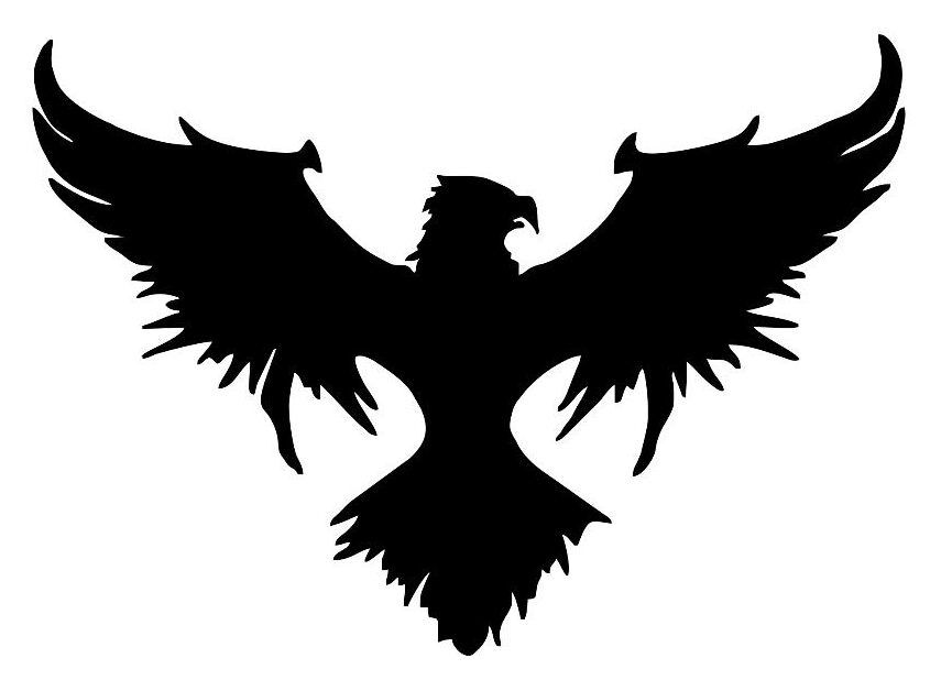BLACK BIRD INSTITUTE LOGO